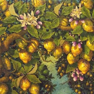 Branches of Lemons