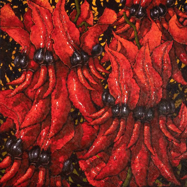 Sturt’s Desert Pea (left)