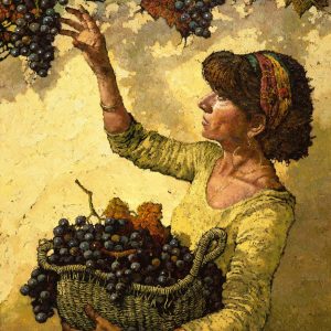 Harvesting Grapes 120 x 90cm oil on canvas