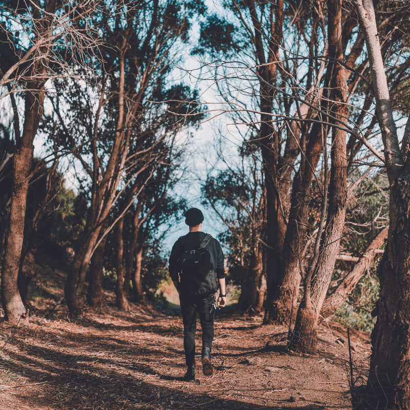 Country Experiences Adelaide Hills