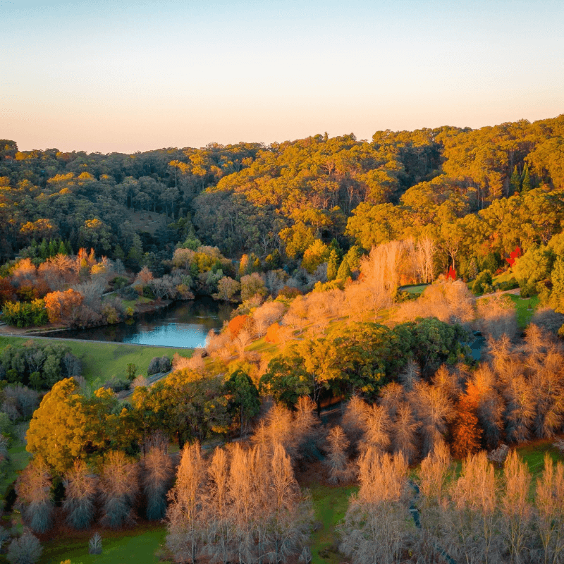 Country Experiences Adelaide Hills